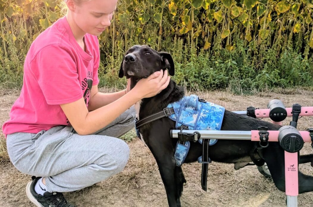 Posh store Posh store