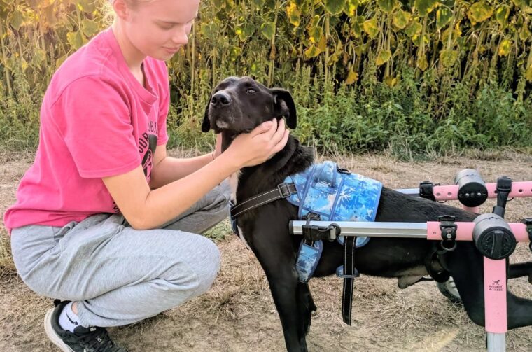 Posh store Posh store