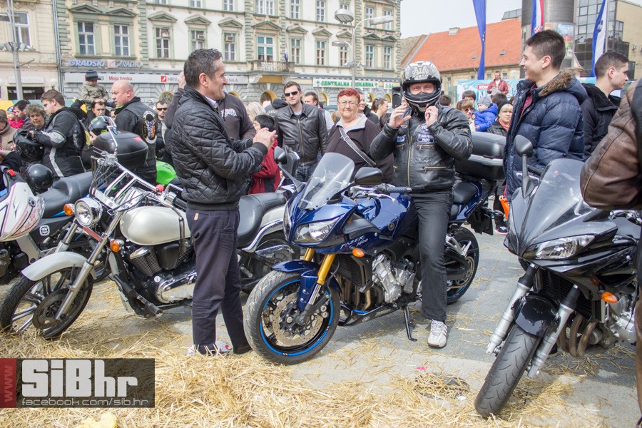 gnijezdo2015_21