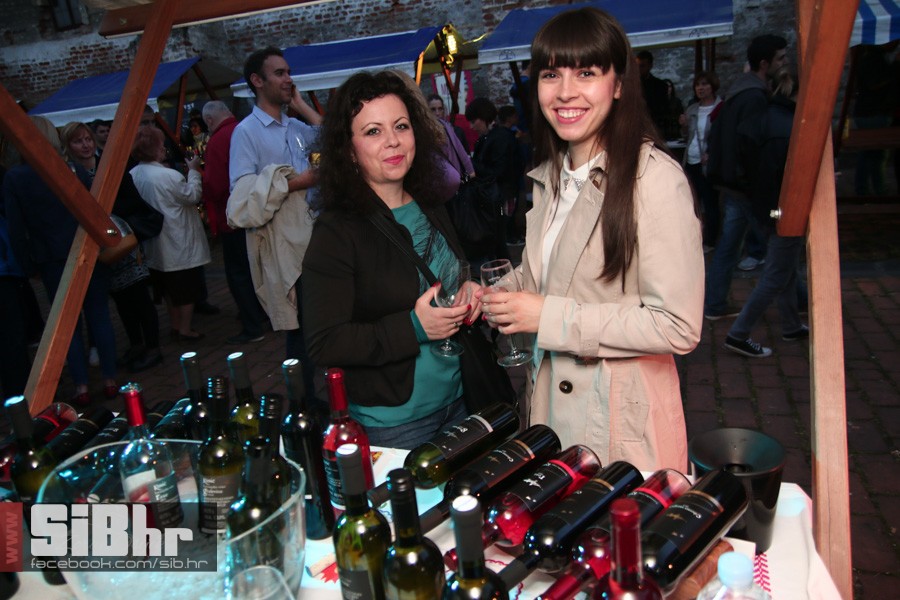dani_vina_turizma_2016_sibhr_41