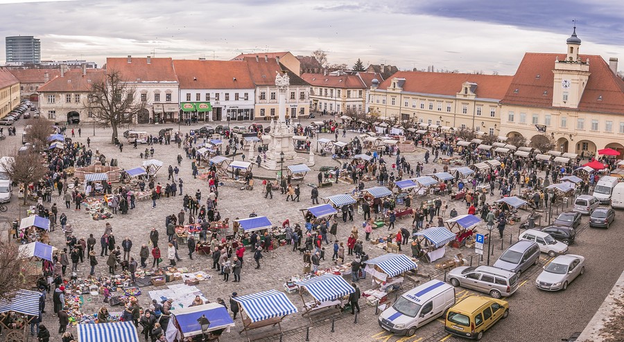Sajam_antikviteta_veljaca_2019_