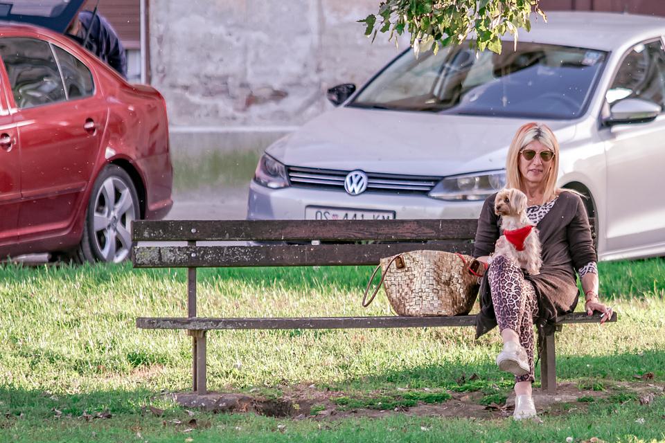 Legice i lege u nedjeljnoj šetnji Legice i lege u nedjeljnoj šetnji
