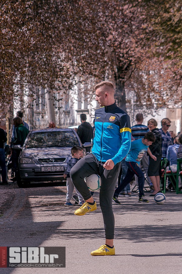 ulica_ringlova_ivica_benic_sibh