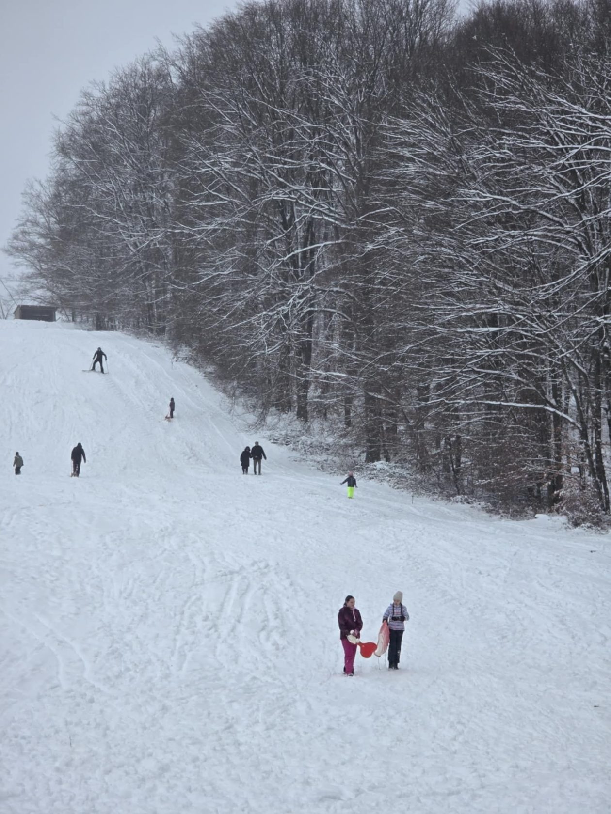 111b5557-8bbc-4d61-841f-fc51343ee583