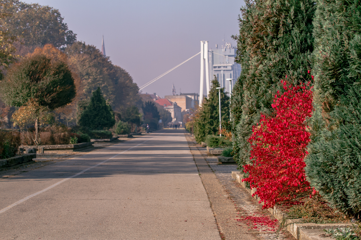 Osijek u jesen