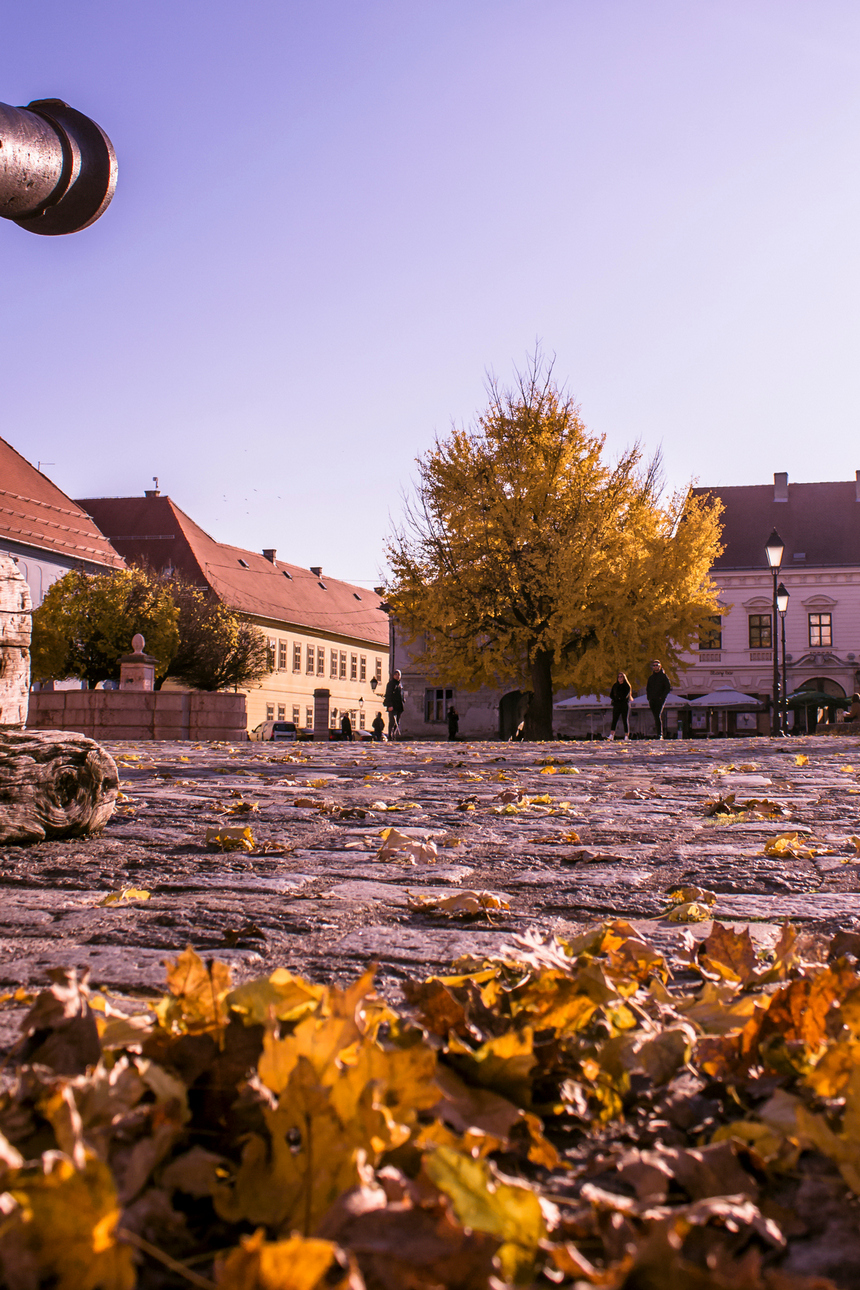 Šetnja prohladnim Osijekom Šetnja prohladnim Osijekom