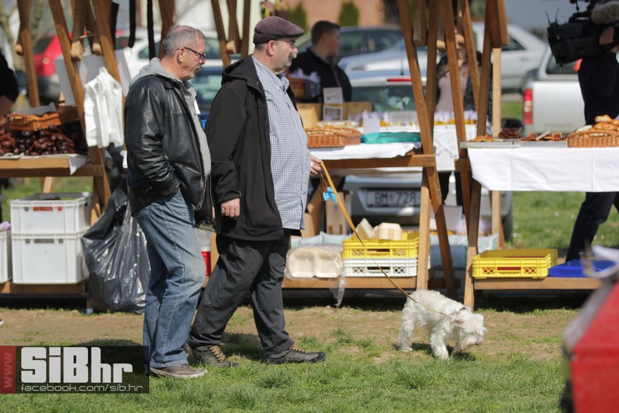 karanac_vasar_2016_sibhr_09