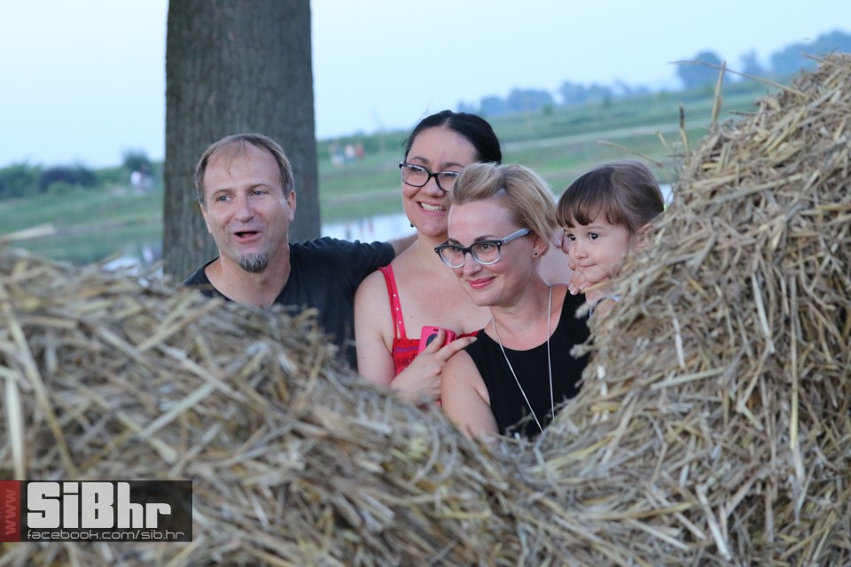 slama_2016_SiBhr_36