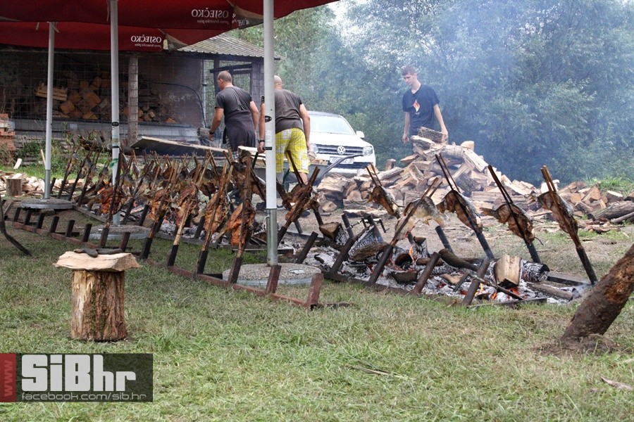 kopacevo_maria_elena_SiB_hr_07 kopacevo_maria_elena_SiB_hr_07