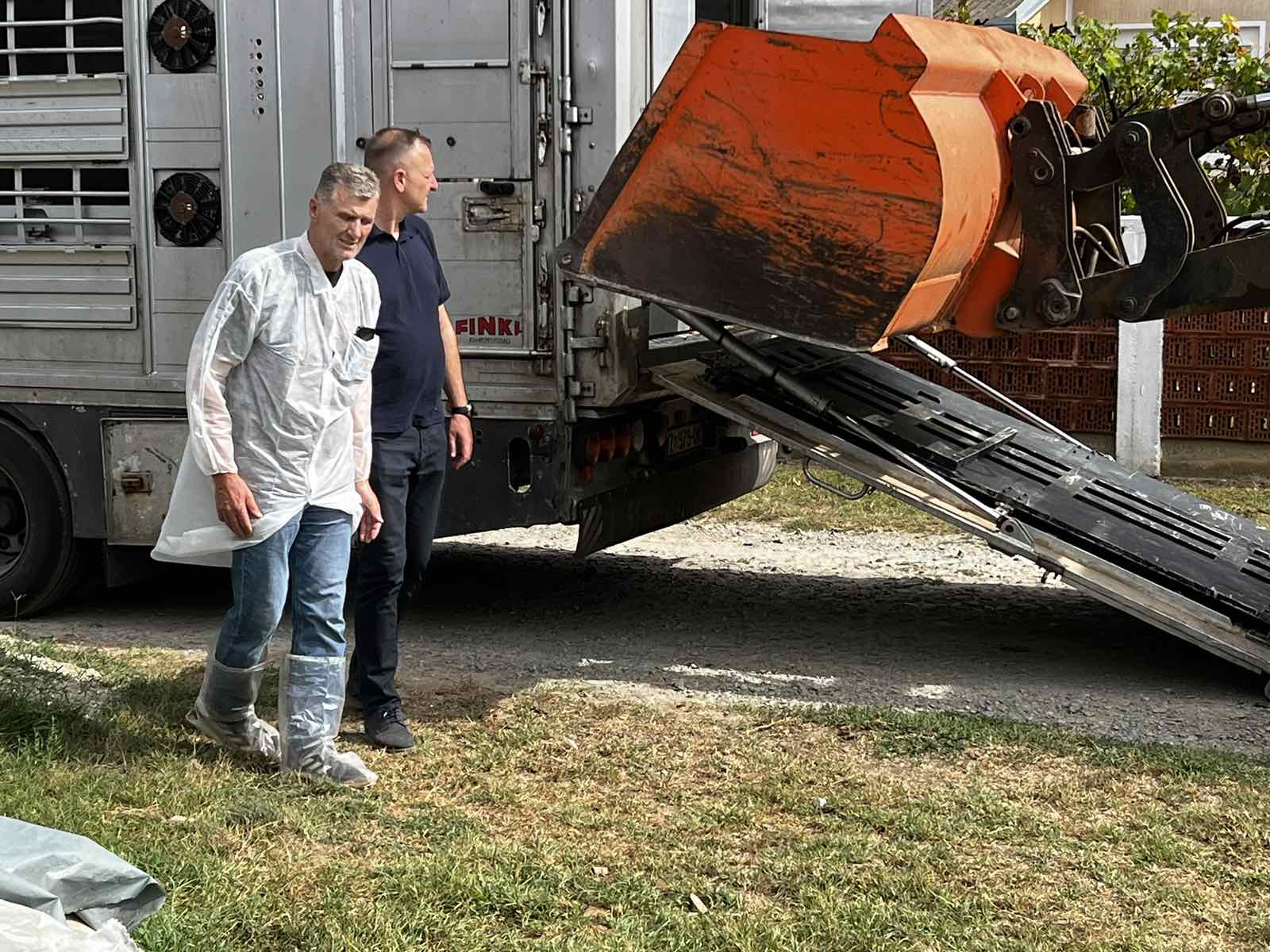 Nesreća kamiona s svinjama