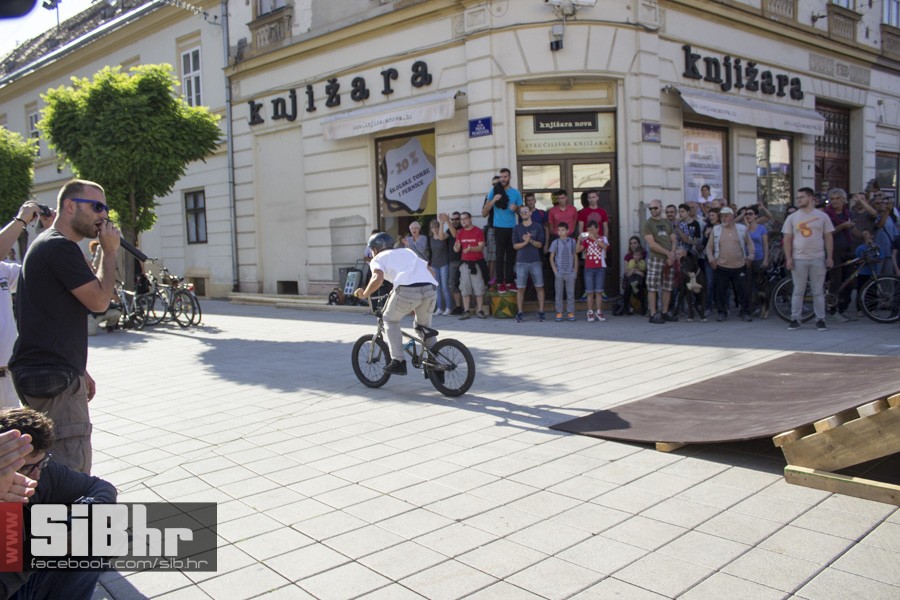 poki_pannonian_06