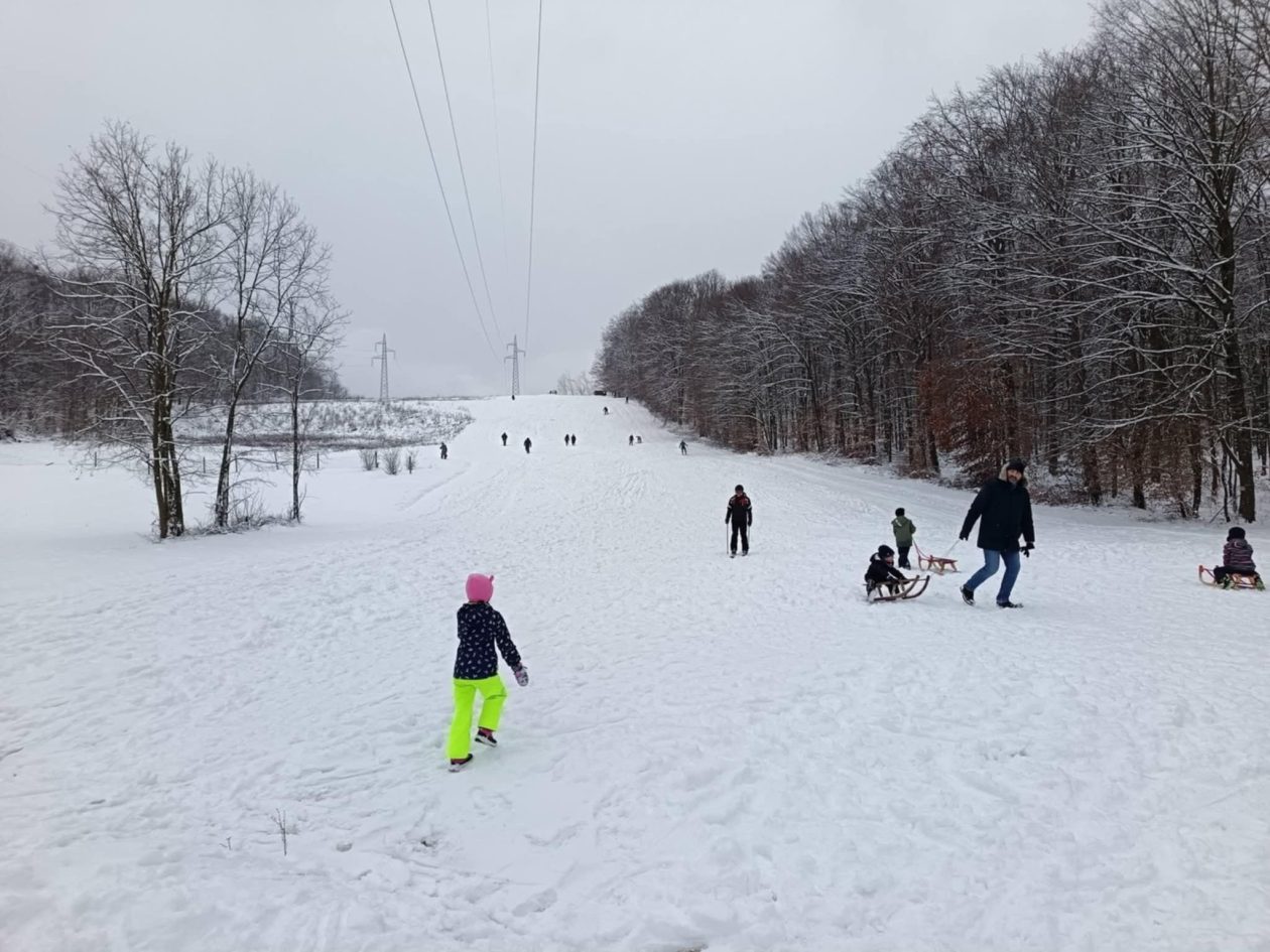 13972041-3c95-497d-91b0-f983f5de754d