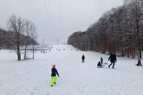 13972041-3c95-497d-91b0-f983f5de754d 13972041-3c95-497d-91b0-f983f5de754d