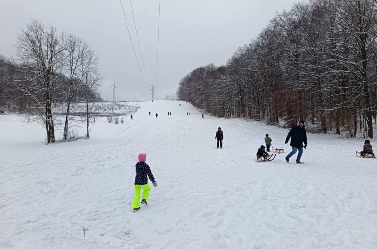 13972041-3c95-497d-91b0-f983f5de754d