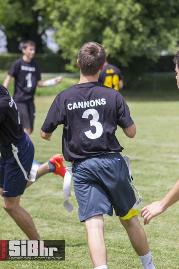 cannons_39