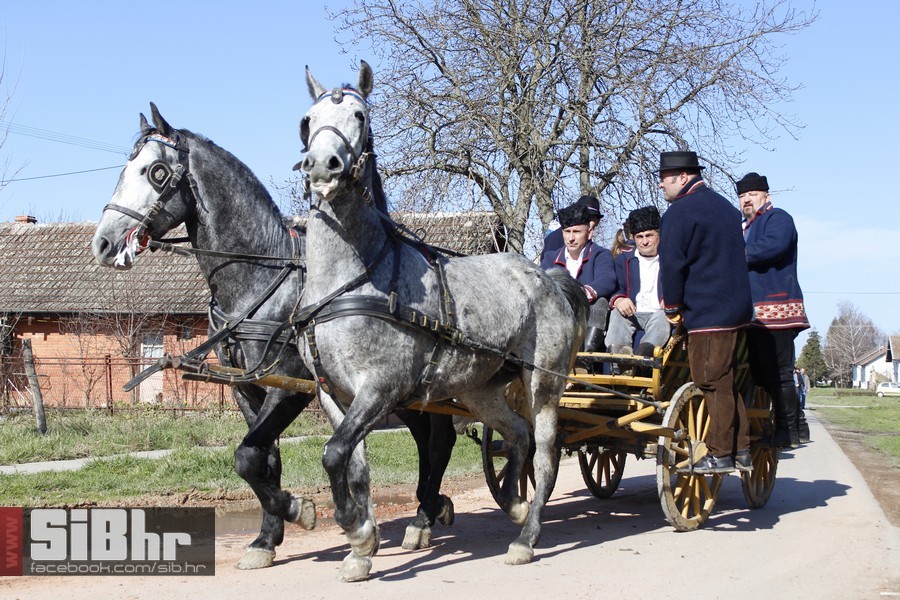 baranja_jahanje_28 baranja_jahanje_28