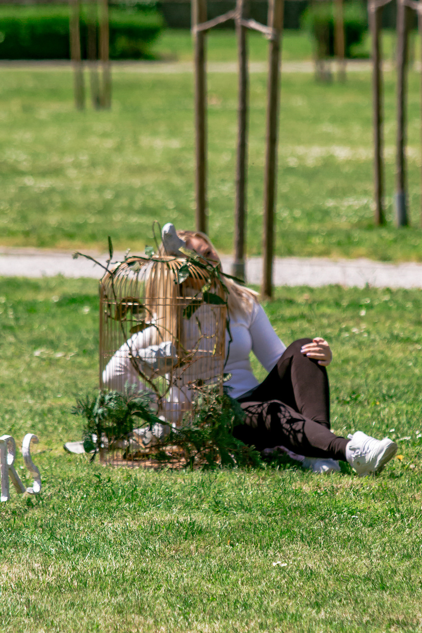 Osječka cvjetna priča