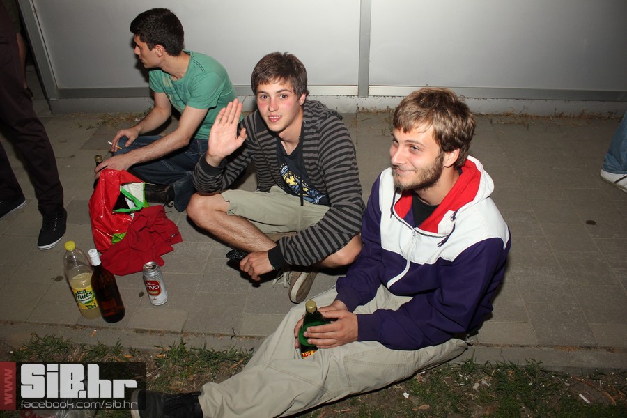 dc_party_sib