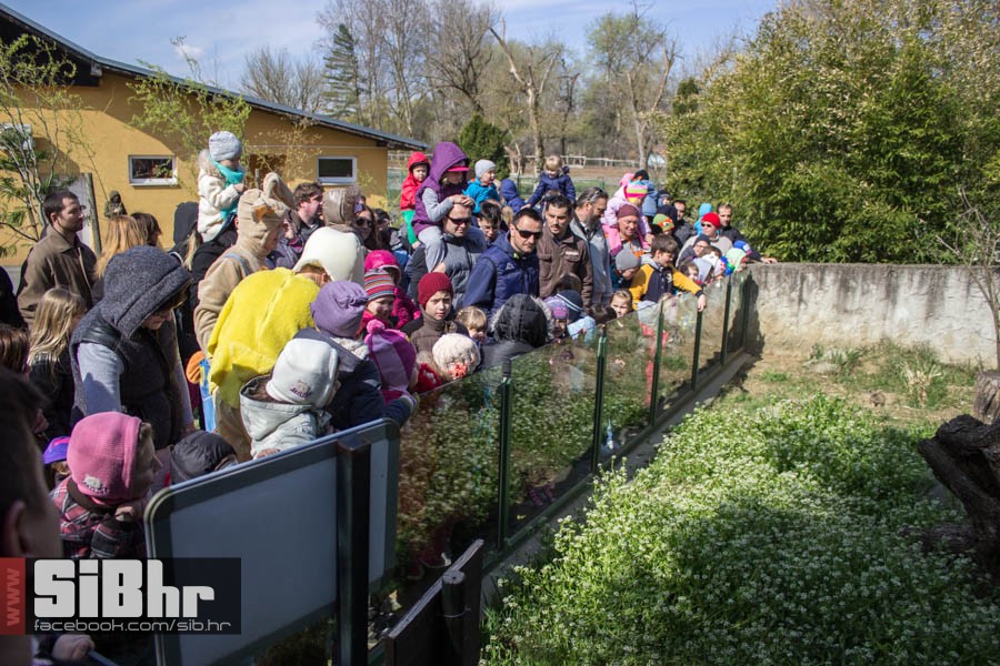 zoo_vrt_22