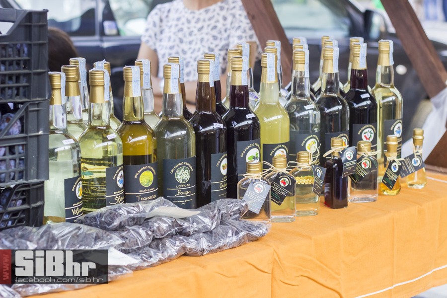 fisijada_opca_opasnost_2016_sib