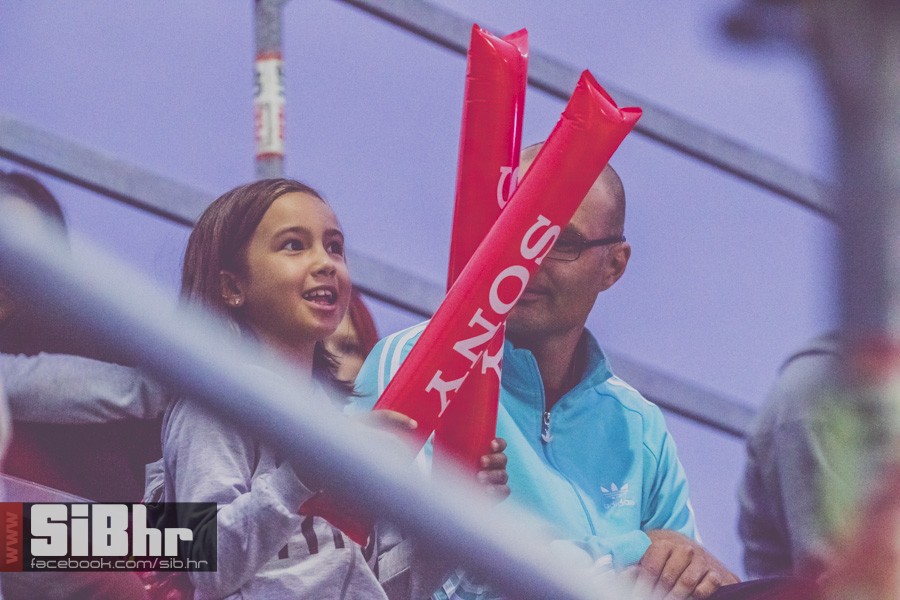 pannonian_petak2015_SiBhr46