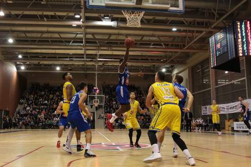 osijek-cibona