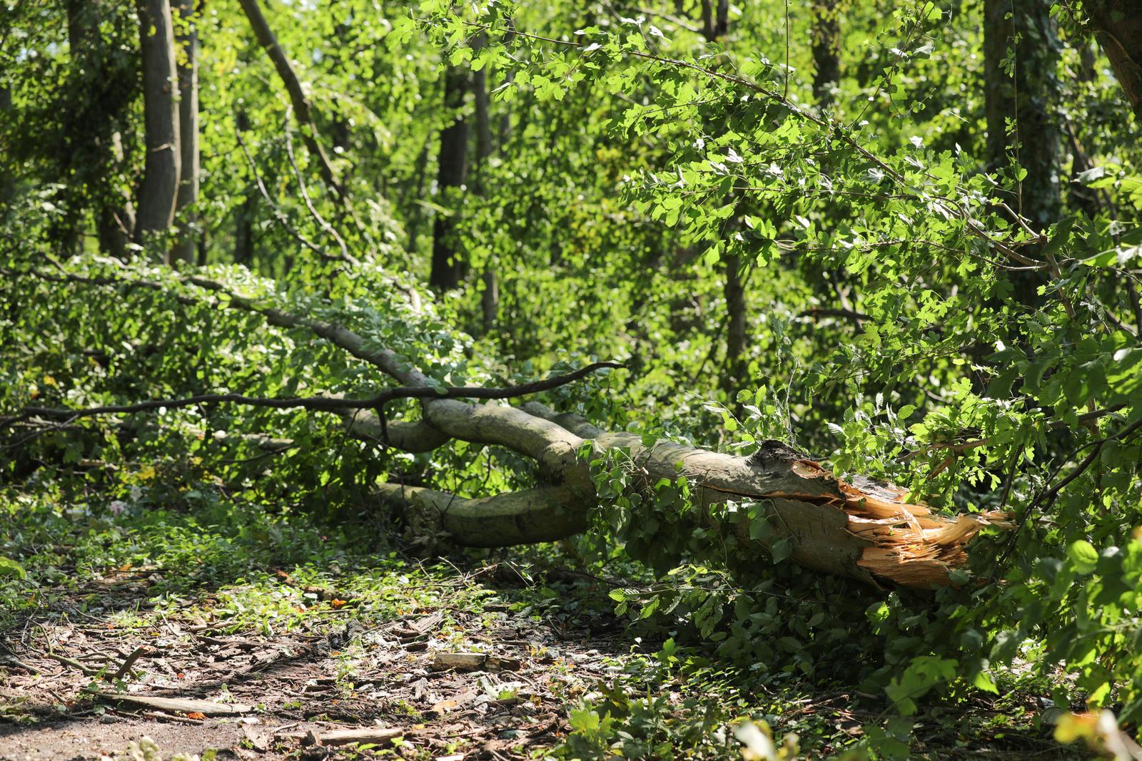 Zatvorena D55 između Vinkovaca i Gradišta Zatvorena D55 između Vinkovaca i Gradišta