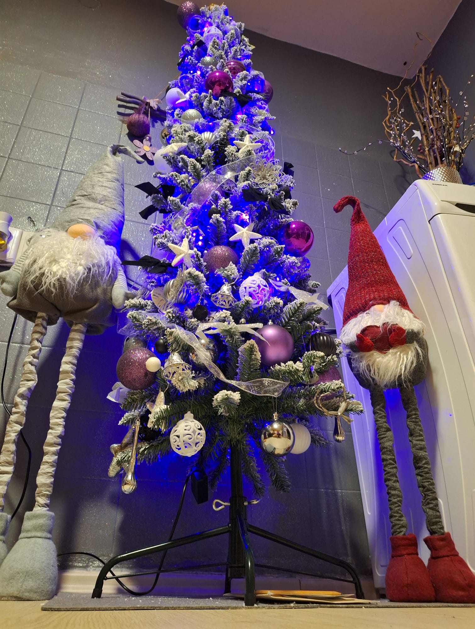 Najljepši borovi na Božić 2023. Najljepši borovi na Božić 2023.