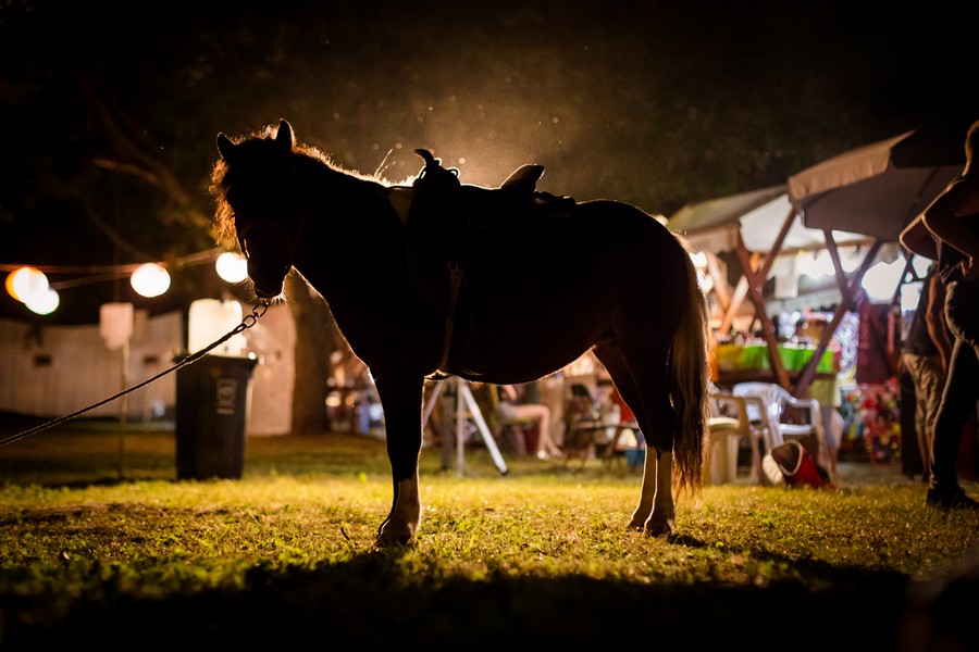 tarda_festival_11