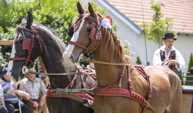 “Ulicama našeg sela” – svečana povorka zaprega i jahača u Jagodnjaku