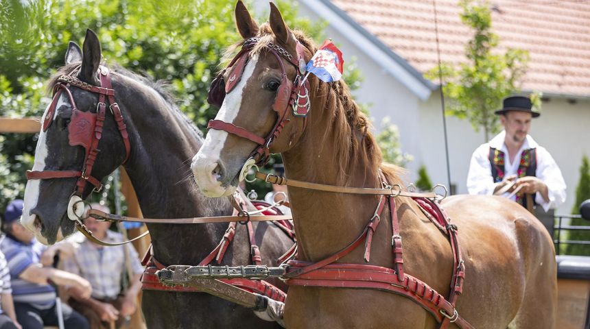 “Ulicama našeg sela” – svečana povorka zaprega i jahača u Jagodnjaku