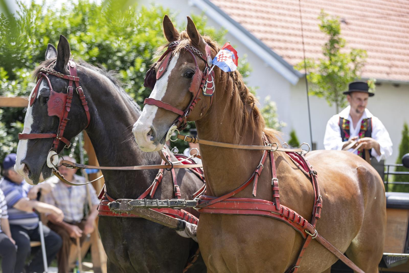 “Ulicama našeg sela” – svečana povorka zaprega i jahača u Jagodnjaku