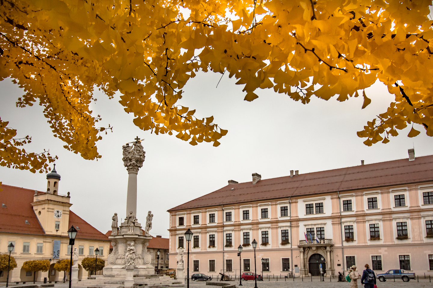 Ginko u Tvrđi i ove godine pokazuje svu svoju ljepotu i raskoš