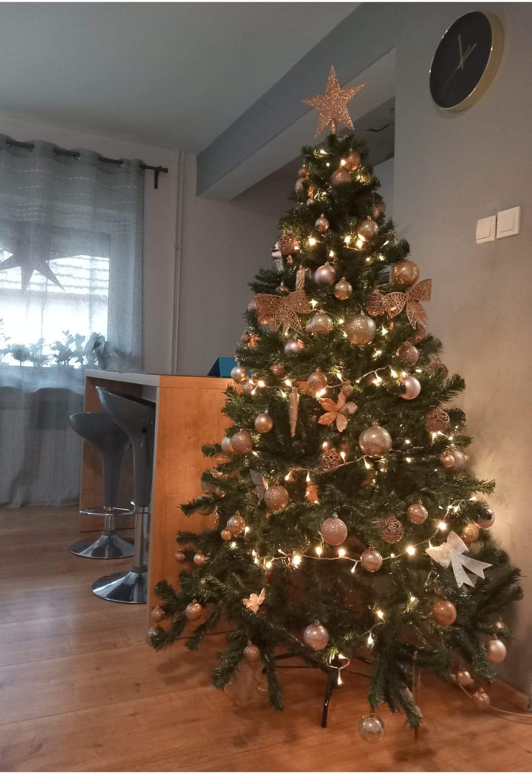 Najljepši borovi na Božić 2023. Najljepši borovi na Božić 2023.