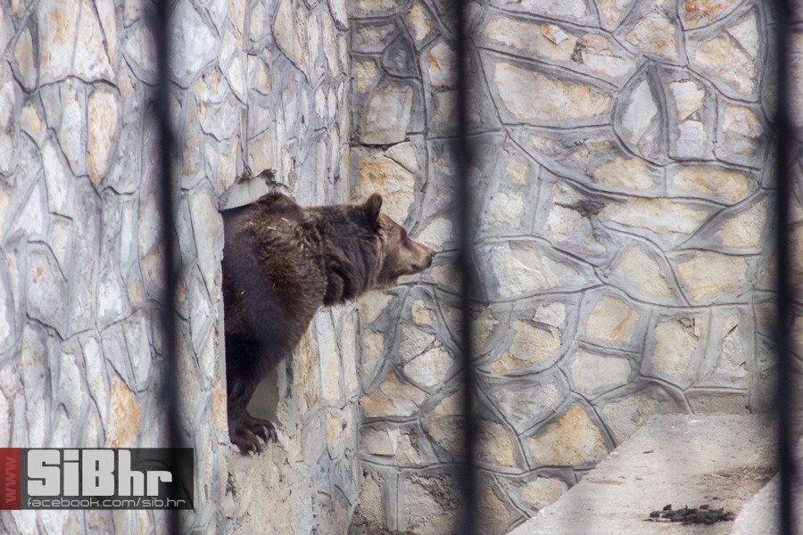 zoo_uskrs_2016_sibhr_115
