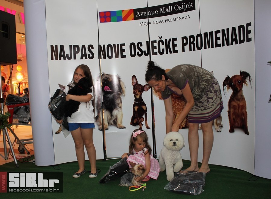 najpas_sibhr_39
