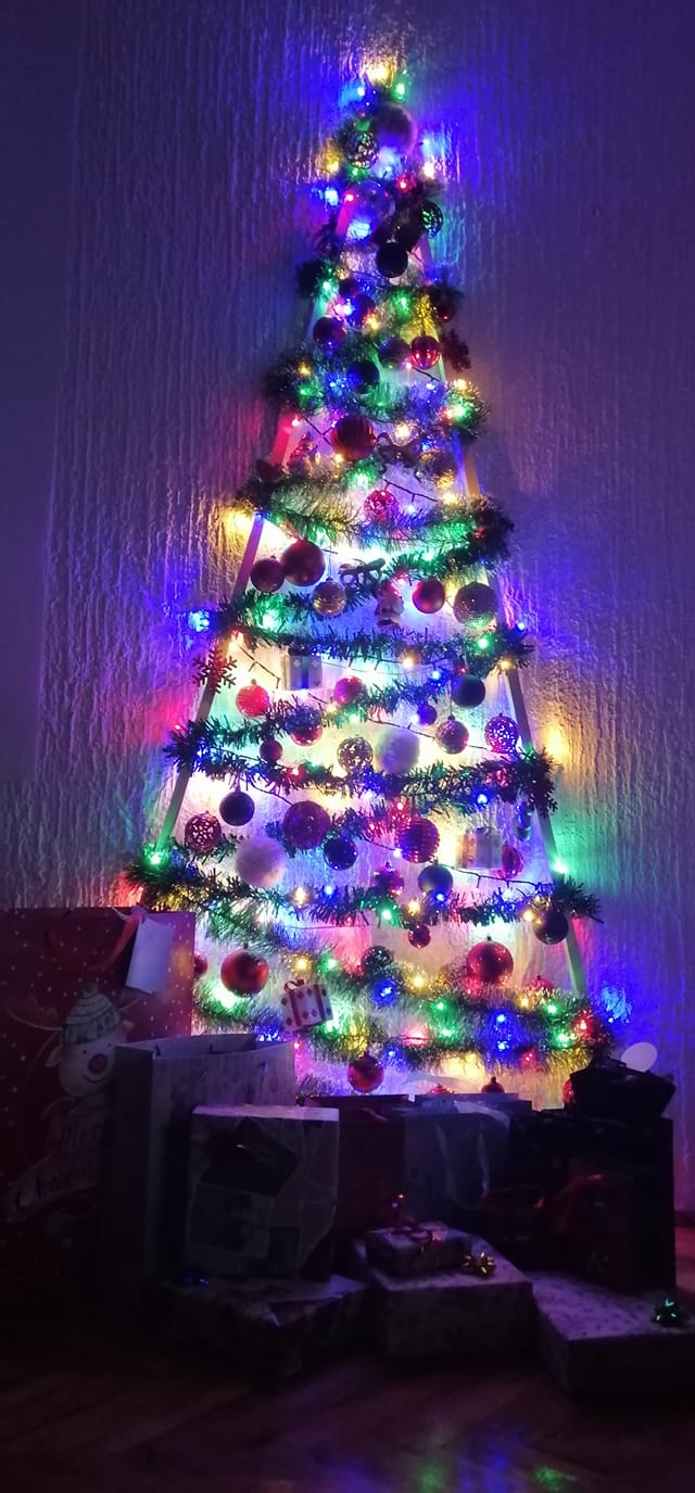 Najljepša božićna drvca naših čitatelja 2022.