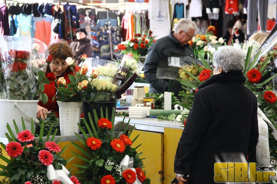 trznica_7_1_2012_sibhr_08