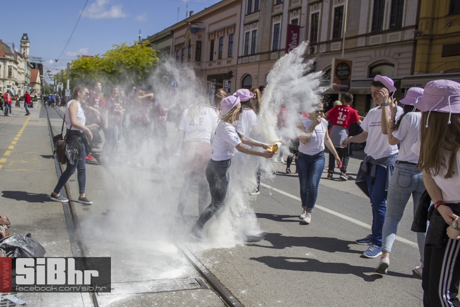 _MG_0516