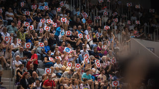 Image 6001657 (auto)