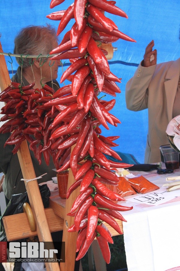 kopacevo_maria_elena_SiB_hr_09 kopacevo_maria_elena_SiB_hr_09