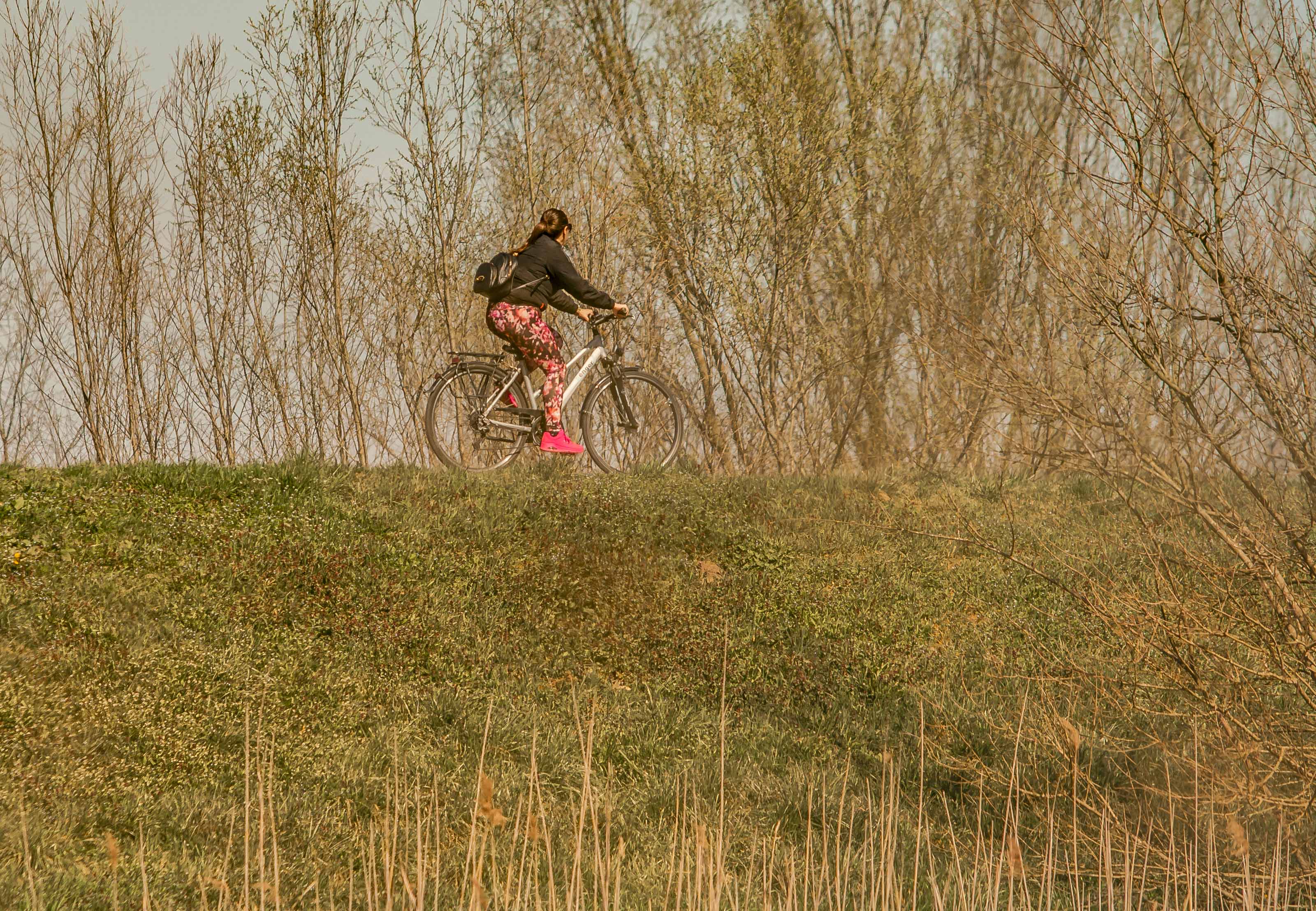 Kopački rit ožujak 2023. Kopački rit ožujak 2023.