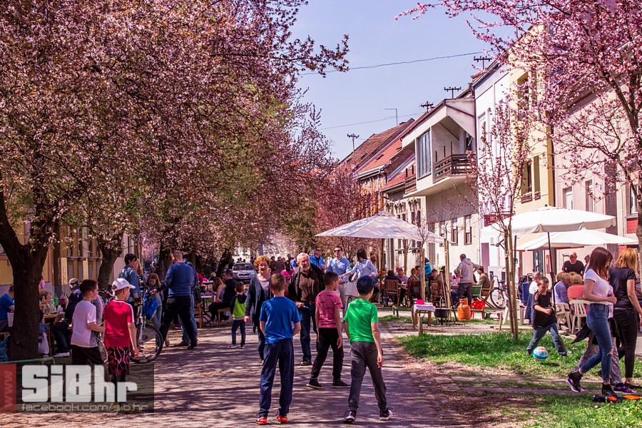 ulica_ringlova_ivica_benic_sibh