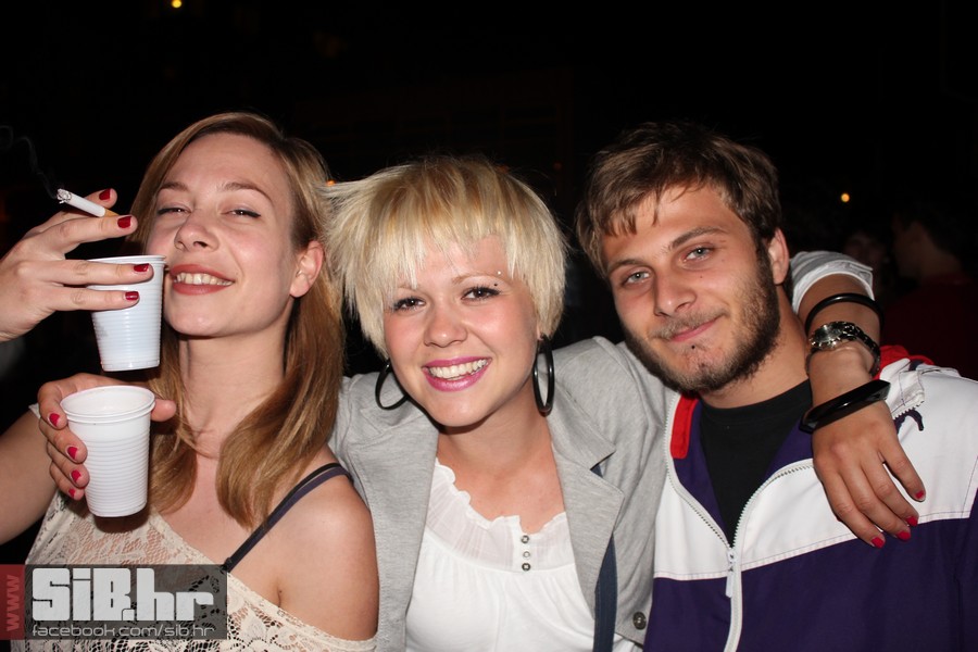 dc_party_sib