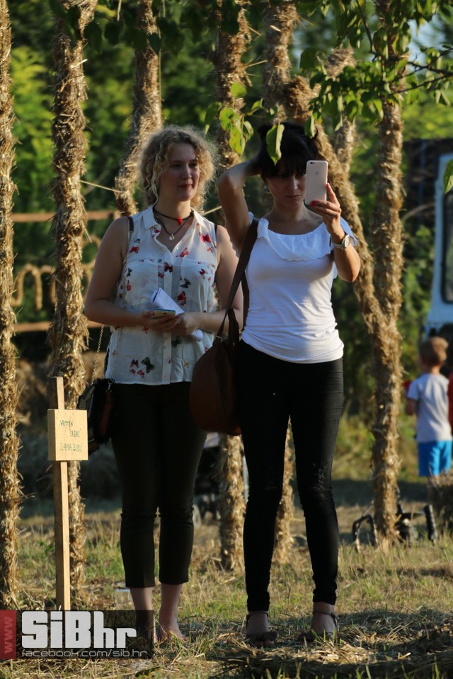 slama_2016_SiBhr_16