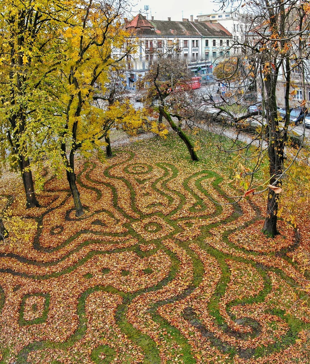 Lišće kao umjetnička djela