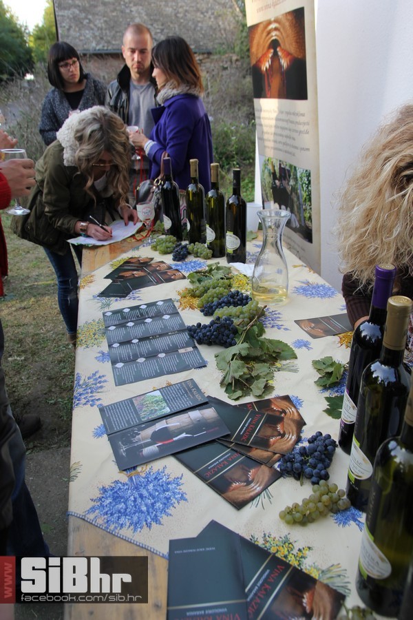 vinski_maraton_zamjevac_SiBhr_6 vinski_maraton_zamjevac_SiBhr_6