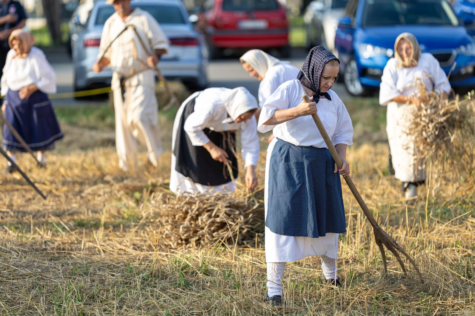 Održane jubilarne 30. Petrijevačke žetvene svečanosti