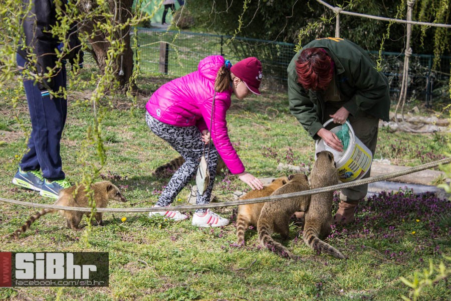 zoo_vrt_04