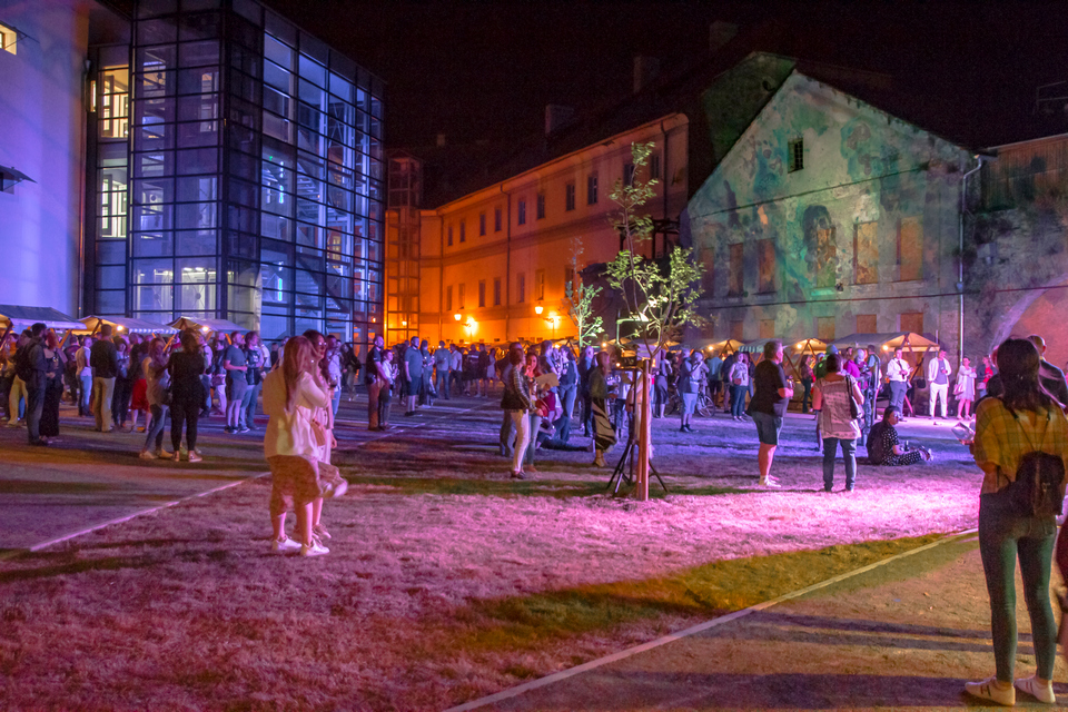 Večer vina i umjetnosti u Tvrđi 11. srpnja 2020.